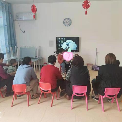 如何教语言发育缓慢孩子，认知颜色、形状、等词汇
